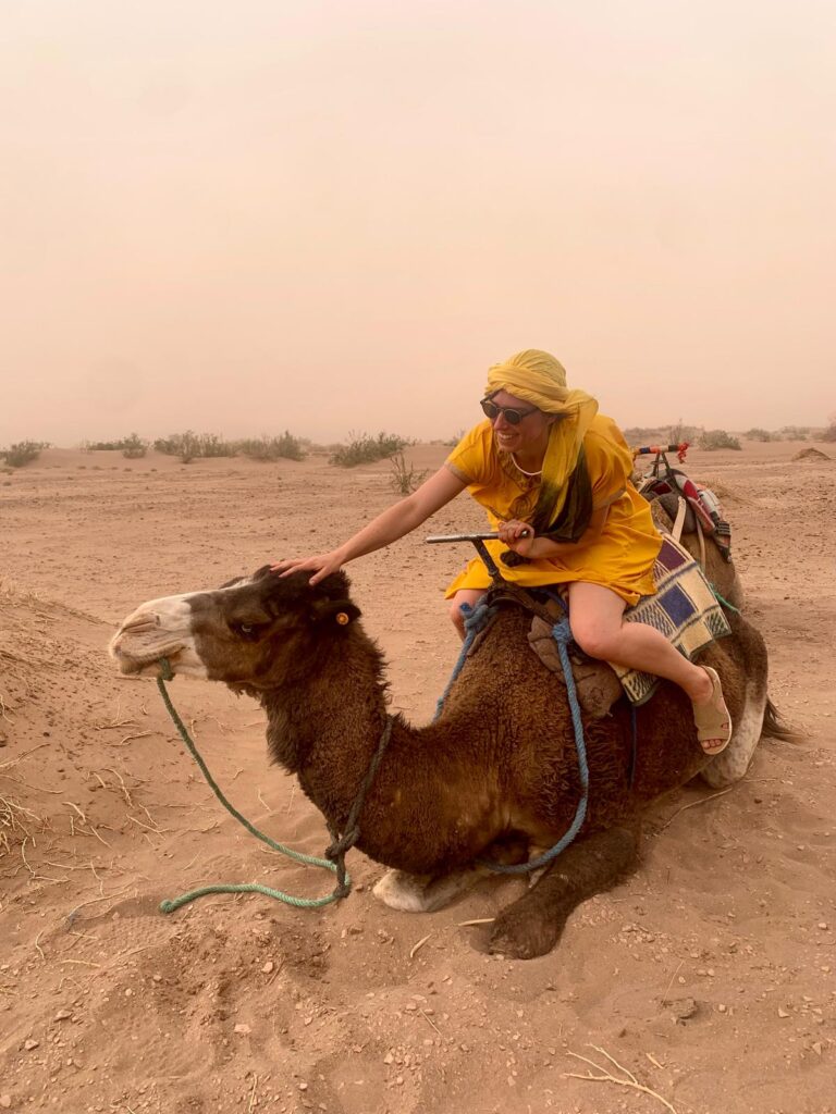 Camel Ride activities